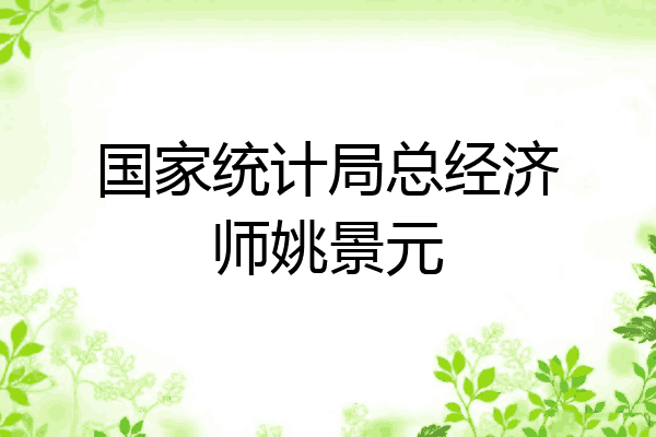 国家统计局总经济师姚景元