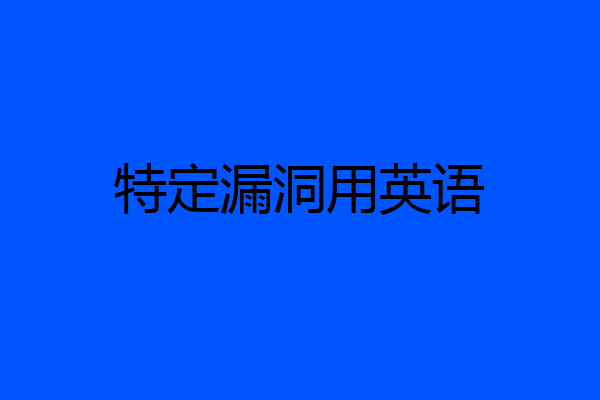 特定漏洞用英语