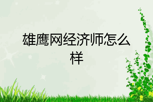 雄鹰网经济师怎么样