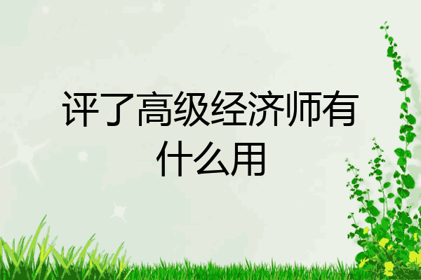 评了高级经济师有什么用