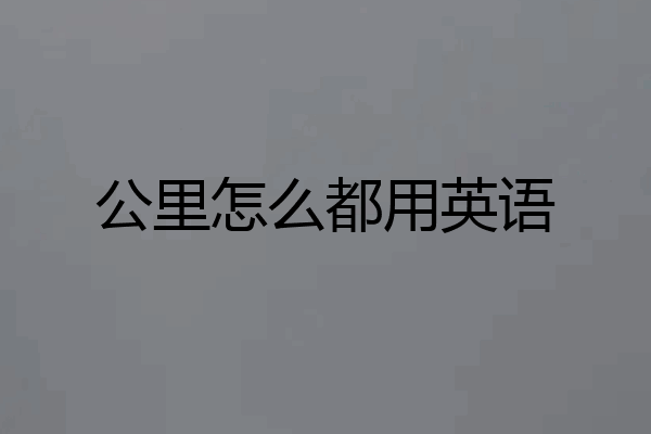 公里怎么都用英语