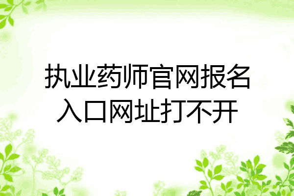 执业药师官网报名入口网址打不开
