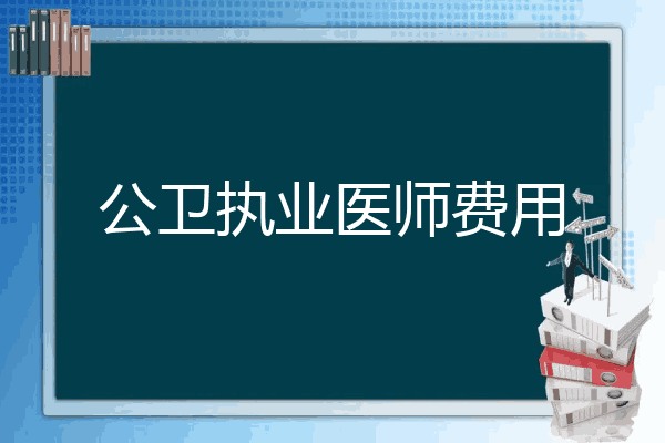 公卫执业医师费用