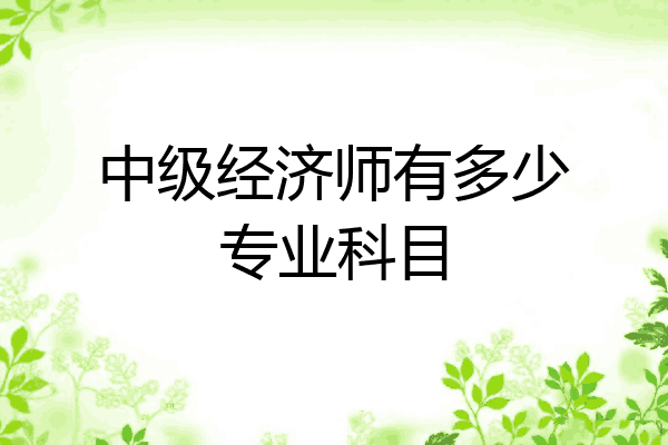 中级经济师有多少专业科目