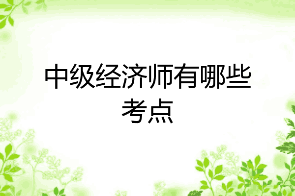中级经济师有哪些考点
