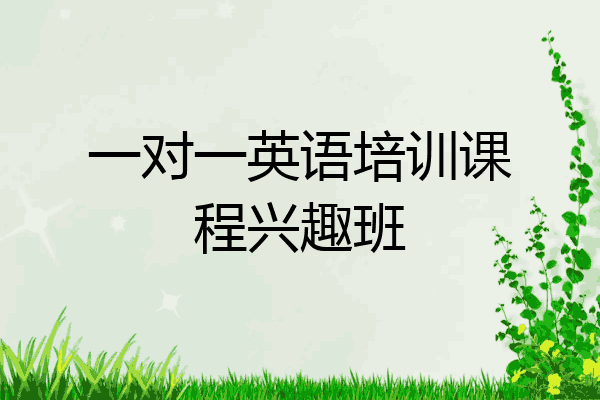 一对一英语培训课程兴趣班