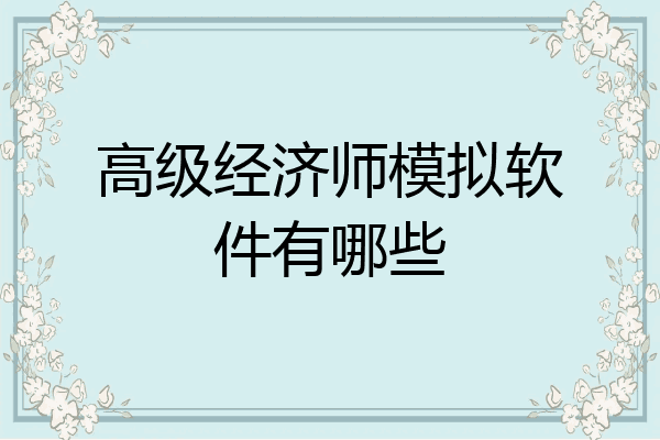 高级经济师模拟软件有哪些