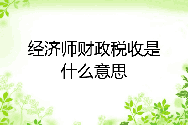 经济师财政税收是什么意思