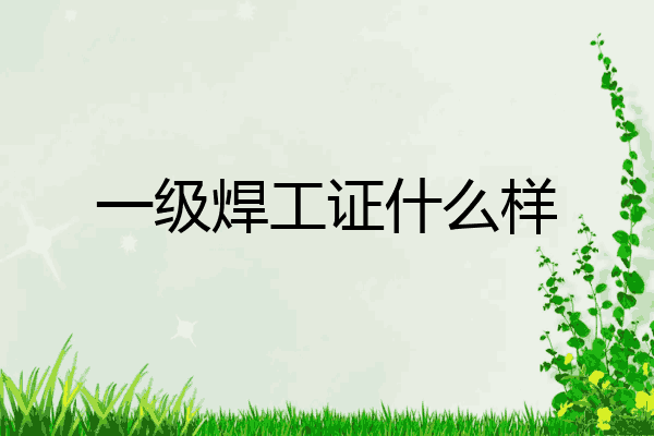 一级焊工证什么样