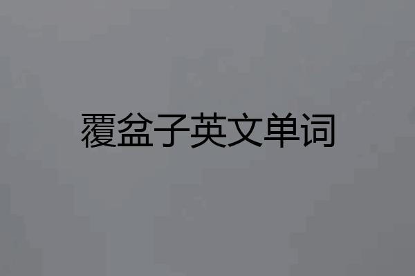 覆盆子英文单词