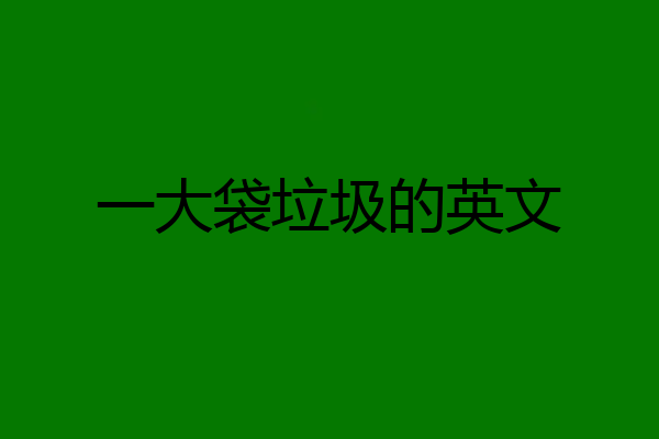 一大袋垃圾的英文