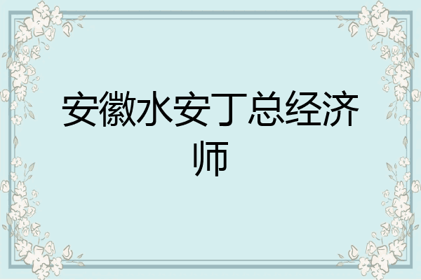 安徽水安丁总经济师