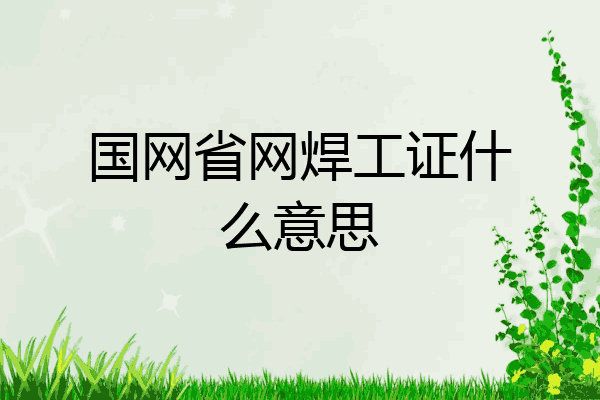 国网省网焊工证什么意思