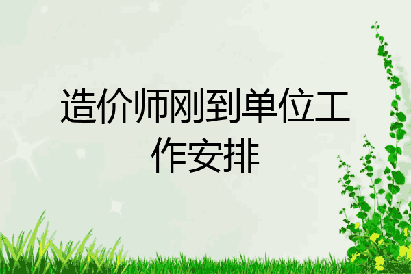 造价师刚到单位工作安排
