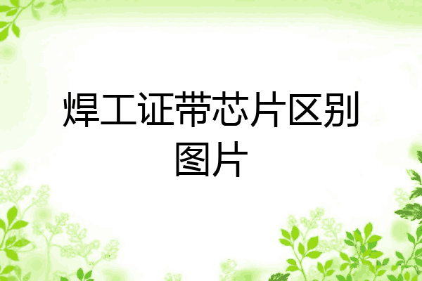 焊工证带芯片区别图片