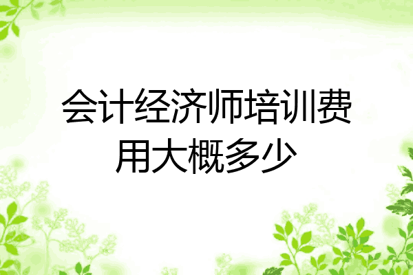 会计经济师培训费用大概多少