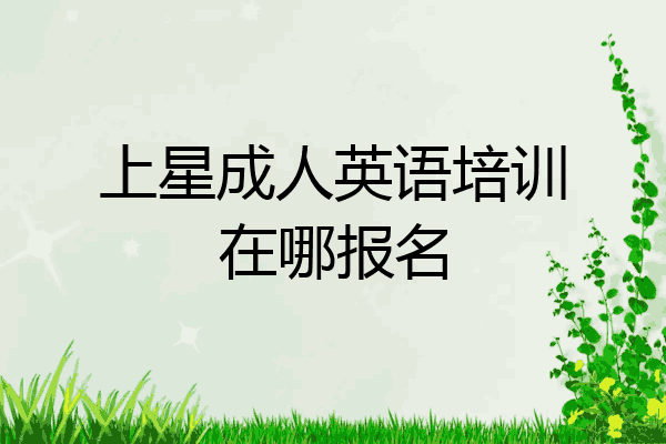 上星成人英语培训在哪报名