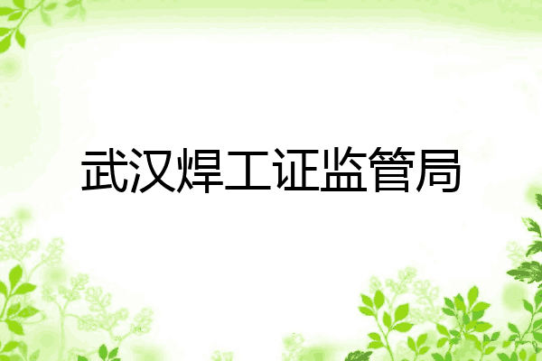 武汉焊工证监管局