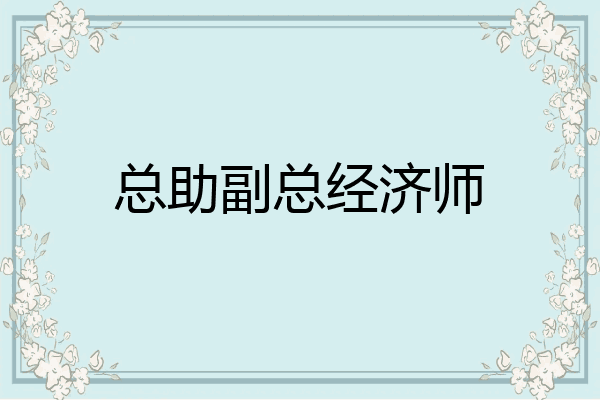 总助副总经济师