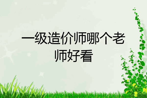 一级造价师哪个老师好看