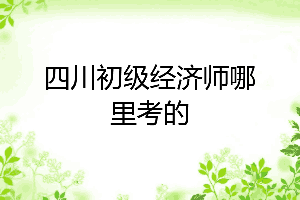 四川初级经济师哪里考的