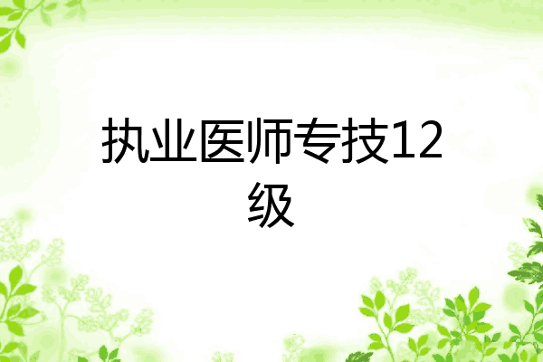 执业医师专技12级