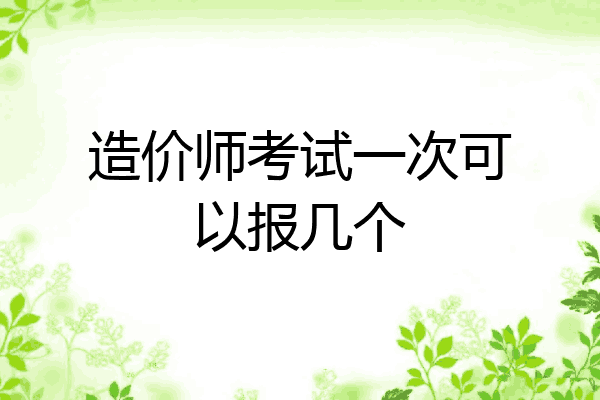 造价师考试一次可以报几个