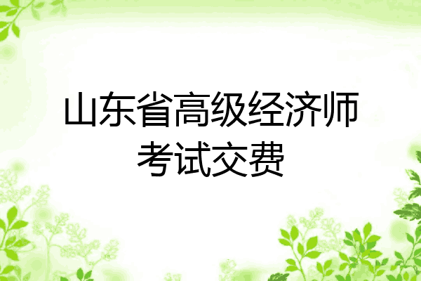 山东省高级经济师考试交费