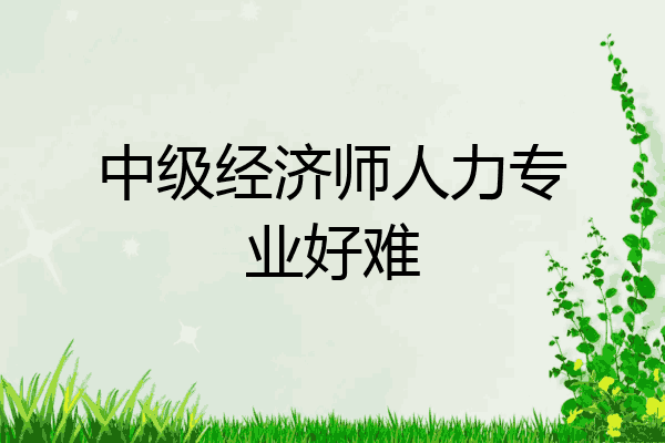 中级经济师人力专业好难