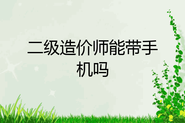 二级造价师能带手机吗