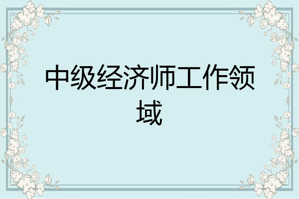 中级经济师工作领域