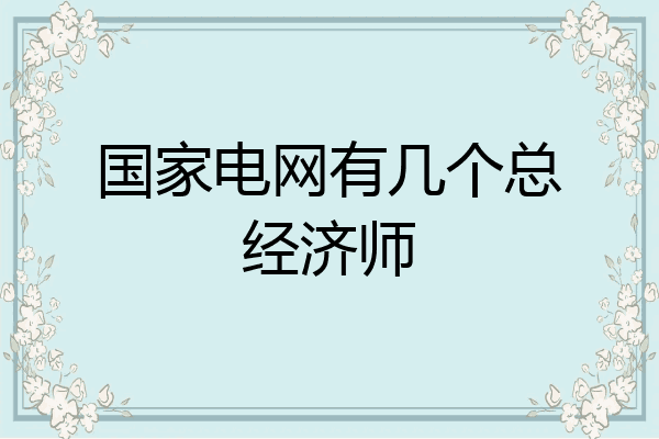 国家电网有几个总经济师