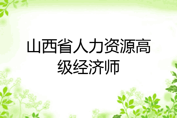 山西省人力资源高级经济师