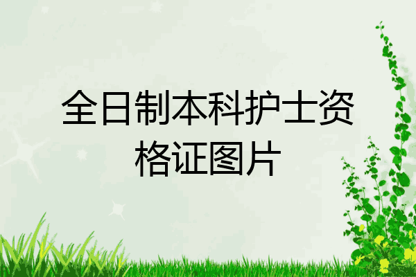 全日制本科护士资格证图片
