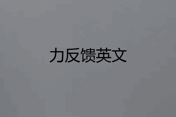 力反馈英文