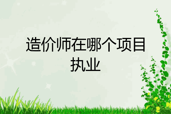 造价师在哪个项目执业