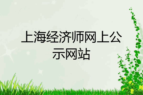 上海经济师网上公示网站