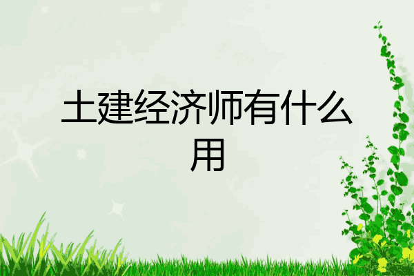 土建经济师有什么用