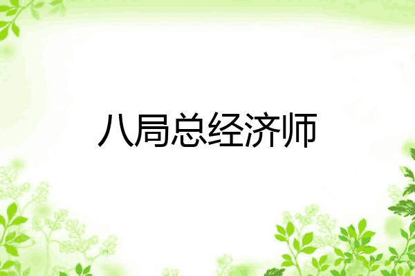 八局总经济师