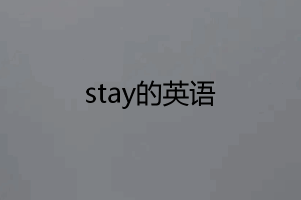 stay的英语
