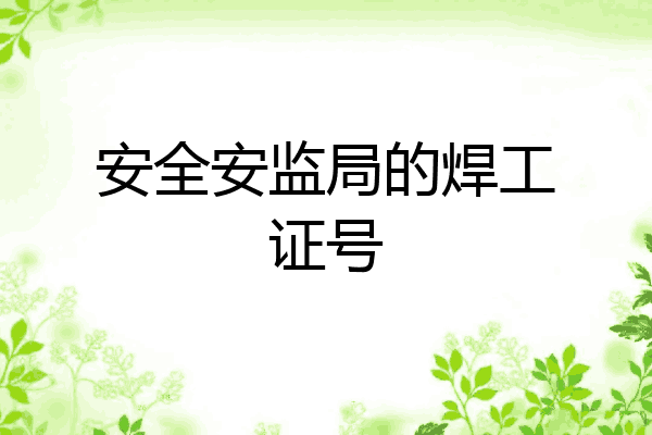 安全安监局的焊工证号