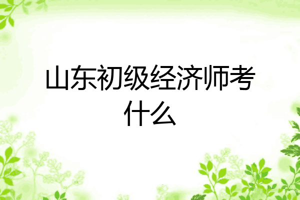 山东初级经济师考什么