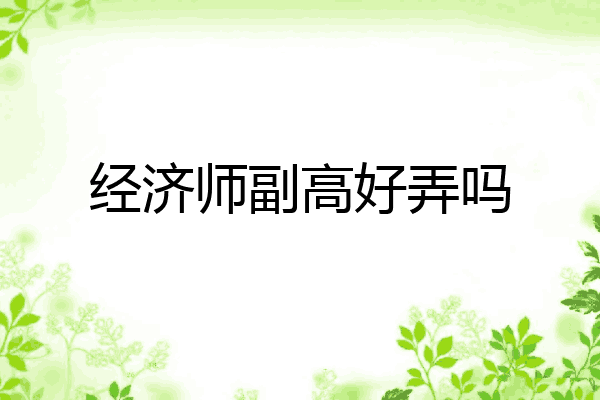 经济师副高好弄吗