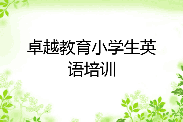 卓越教育小学生英语培训