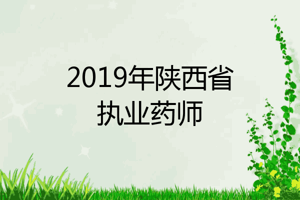 2019年陕西省执业药师