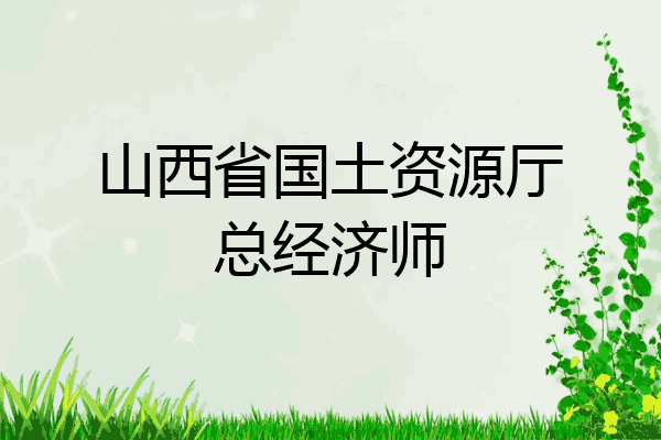 山西省国土资源厅总经济师