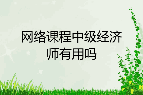 网络课程中级经济师有用吗
