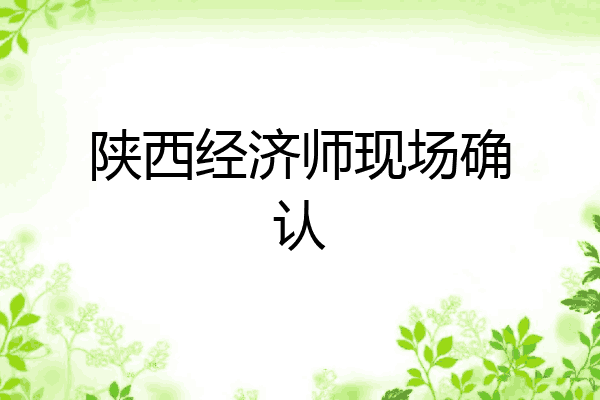 陕西经济师现场确认