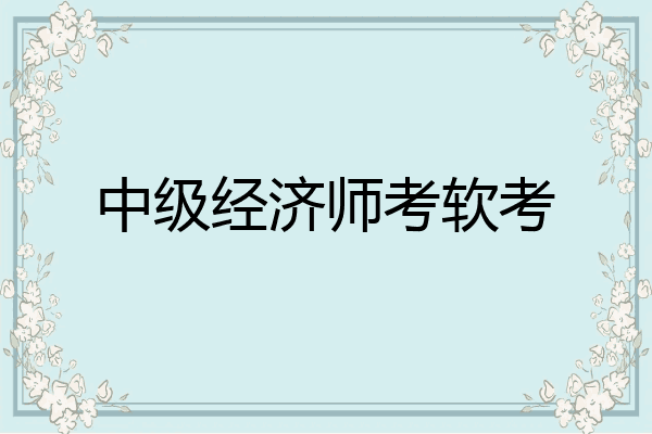 中级经济师考软考