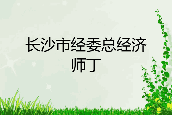 长沙市经委总经济师丁